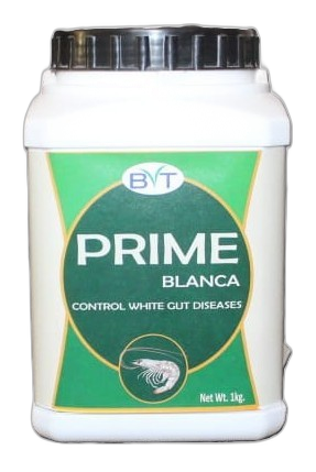 PRIME BLANCA